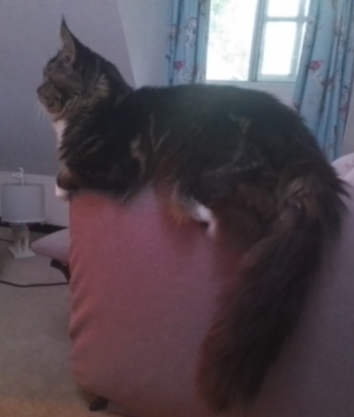 Come and tell me your dull and unexciting news 25: Calmly through the day 