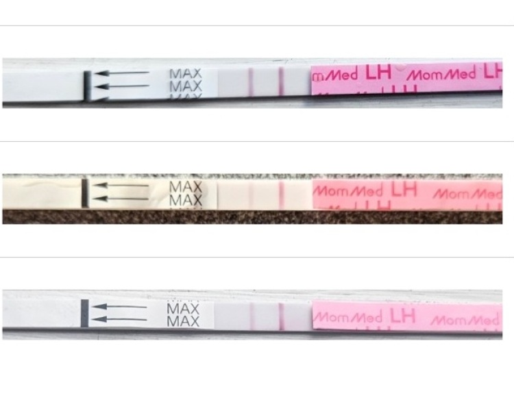 TTC May 2023 💖✨ previous MC March 2023