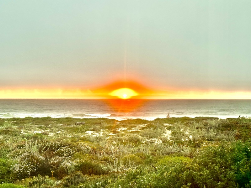 Pamela thread 5 - Bile Duct Cancer, chemo begins