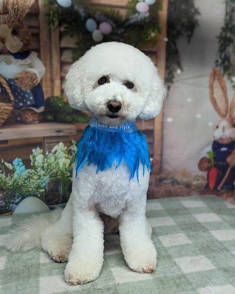 Pamela thread 3 - Bile Duct Cancer, off to London! 