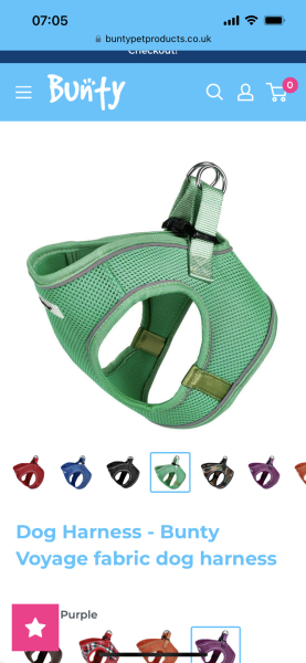 Can my puppy wear a harness all day?