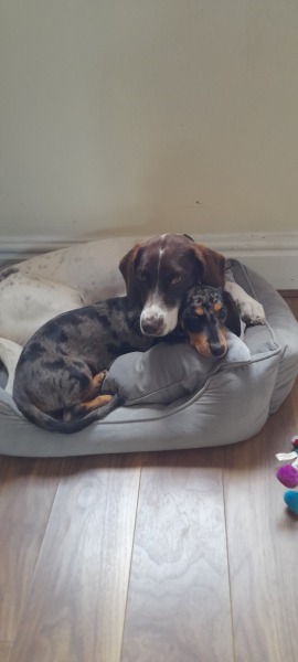 Pamela thread 5 - Bile Duct Cancer, chemo begins