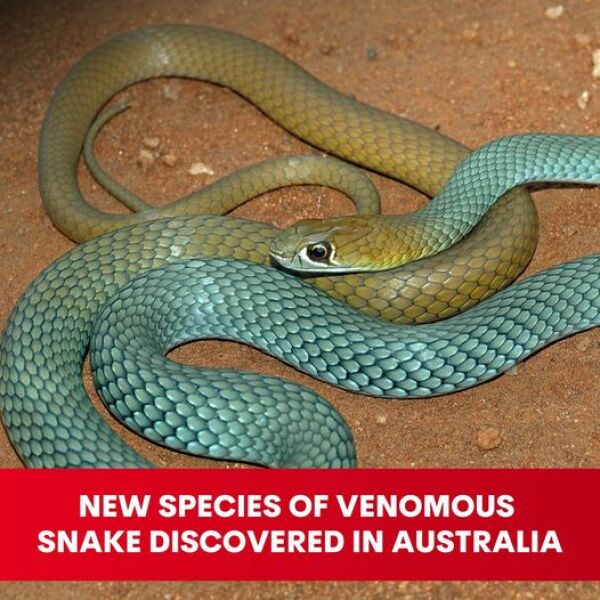 Uh oh, i could be in trouble here...