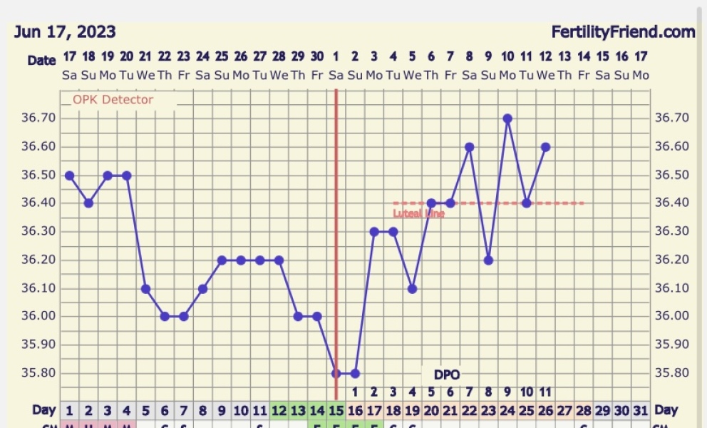 BBT Graph
