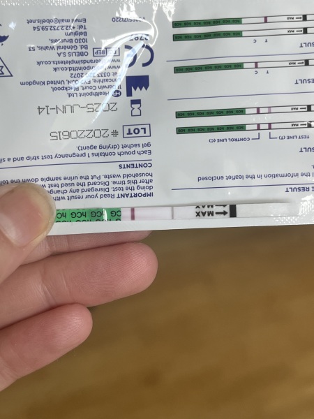 Pregnancy Test Opinions again??