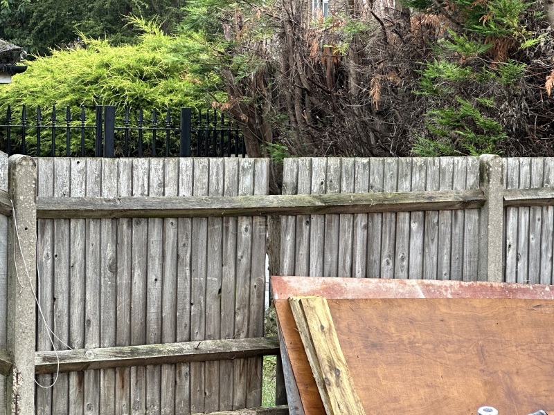 My neighbour is showing all the signs of being a PITA