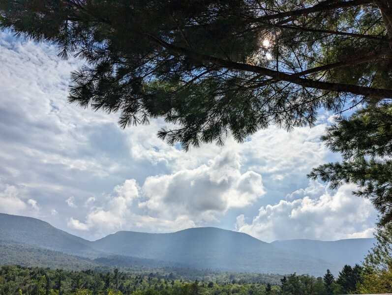 Pamela thread 6 - Bile Duct Cancer, Continued