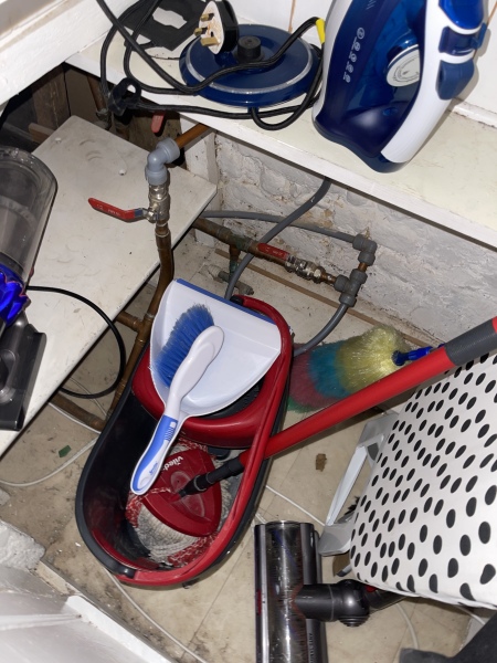 Are these mice droppings? Help! 
