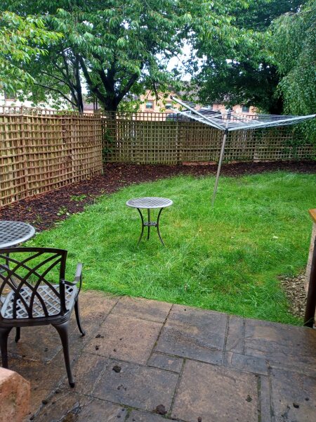 What have you done in the garden today? Part 2