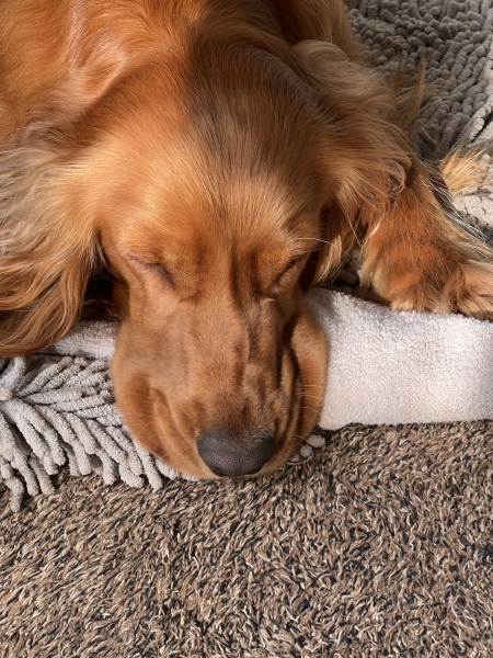 Pamela thread 5 - Bile Duct Cancer, chemo begins