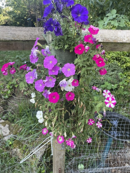 Hanging flower bags anyone?