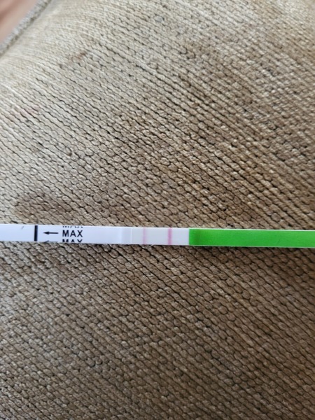 Positive opk?