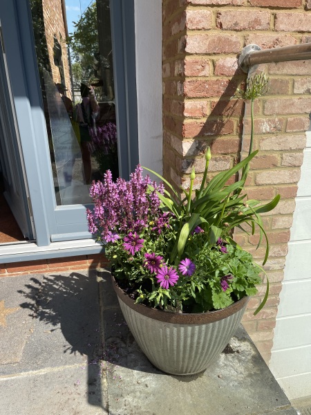 Glass balconies/balustrades - would you recommend?