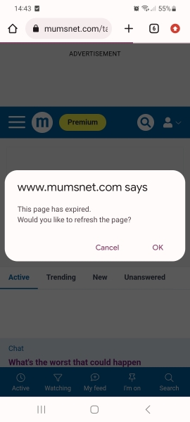 Page has expired pop-up