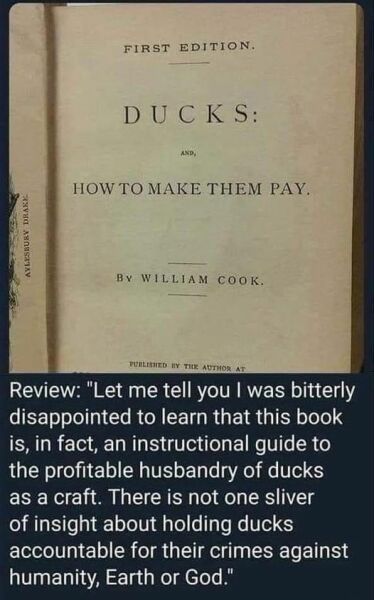 To think the other hens should pay?