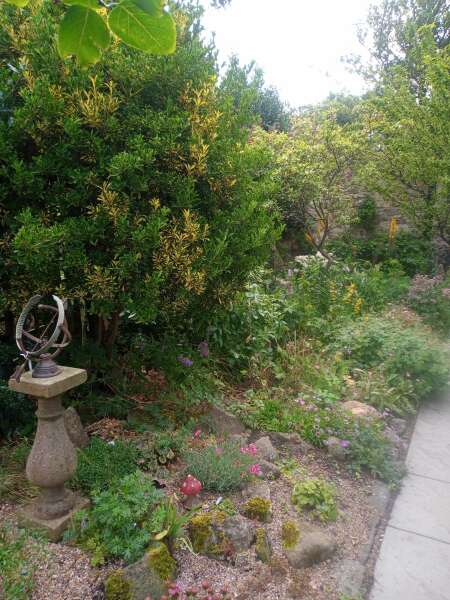 What have you done in the garden today? Part 2
