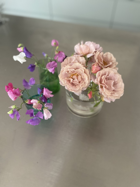 Pamela thread 6 - Bile Duct Cancer, Continued