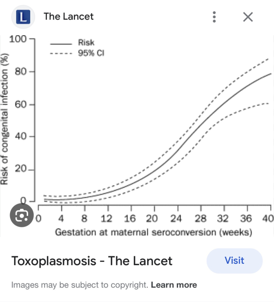 Toxoplasmosis 