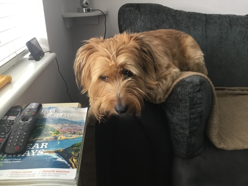 Pamela thread 5 - Bile Duct Cancer, chemo begins