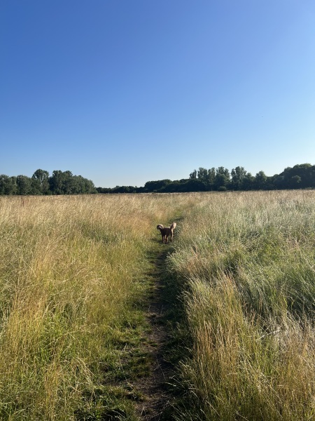 Pamela thread 3 - Bile Duct Cancer, off to London! 