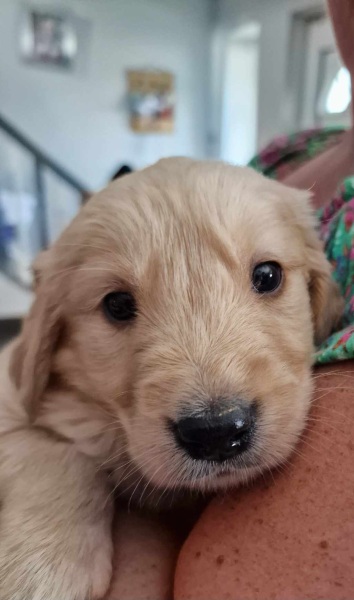 Pamela thread 5 - Bile Duct Cancer, chemo begins