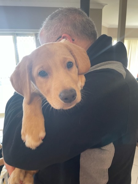 Pamela thread 3 - Bile Duct Cancer, off to London! 