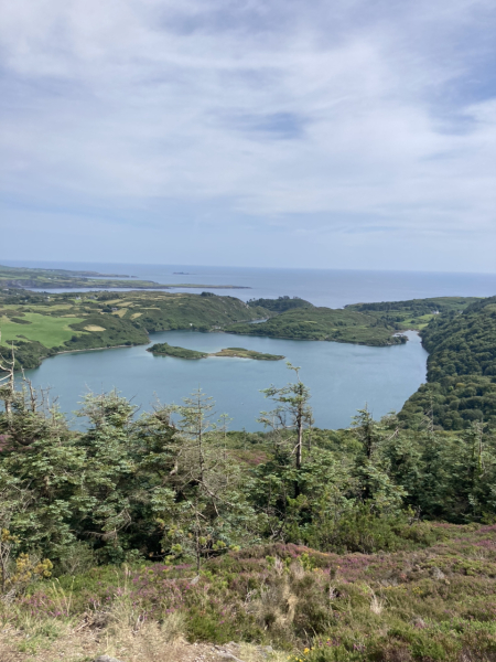 Pamela thread 6 - Bile Duct Cancer, Continued