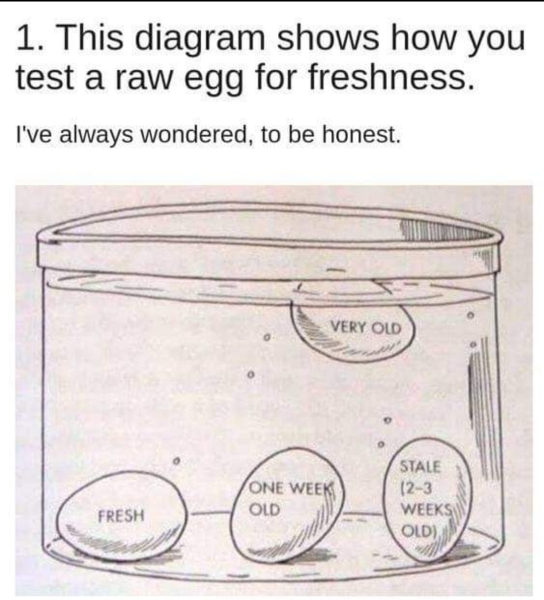 I have 11 eggs expiring today...
