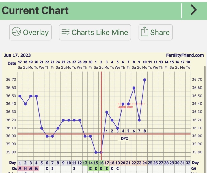 BBT Graph