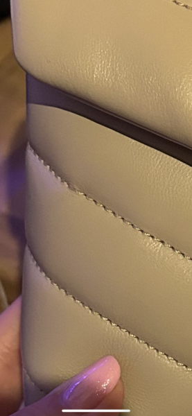 I took the plunge and bought the YSL Loulou toy bag!