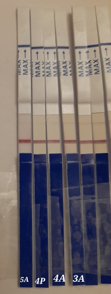 What IVF dose and how many eggs did you get?