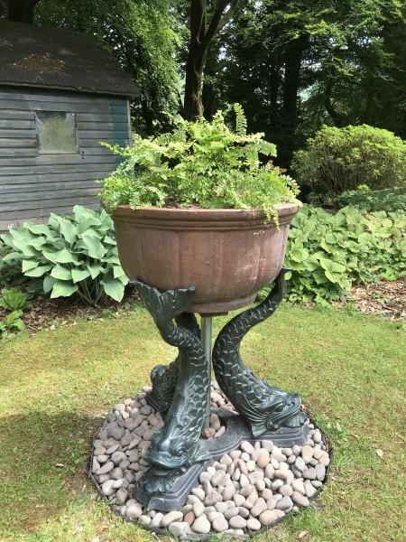 What have you done in the garden today? Part 2