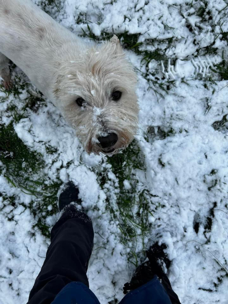 Pamela thread 5 - Bile Duct Cancer, chemo begins