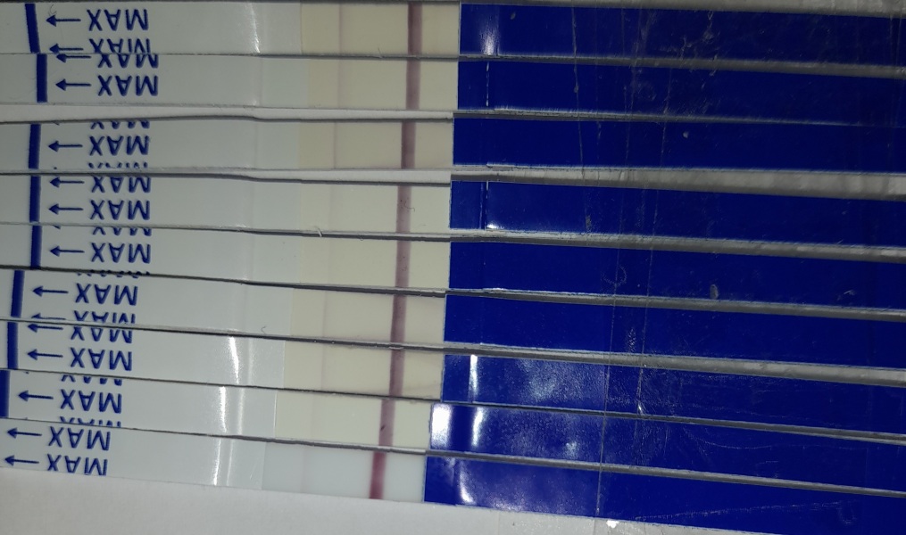 What IVF dose and how many eggs did you get?