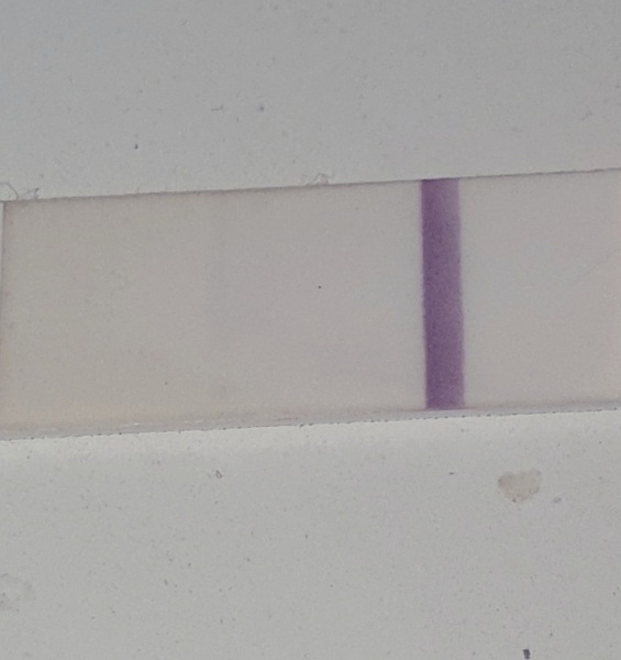 Is this a positive test??