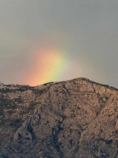 Pamela thread 5 - Bile Duct Cancer, chemo begins