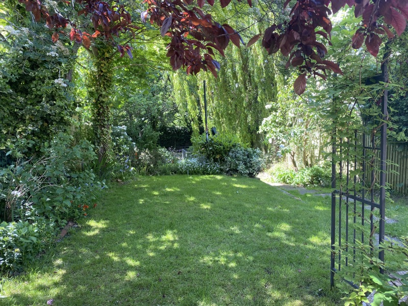 Does anyone live in a house with trees in “striking distance”?