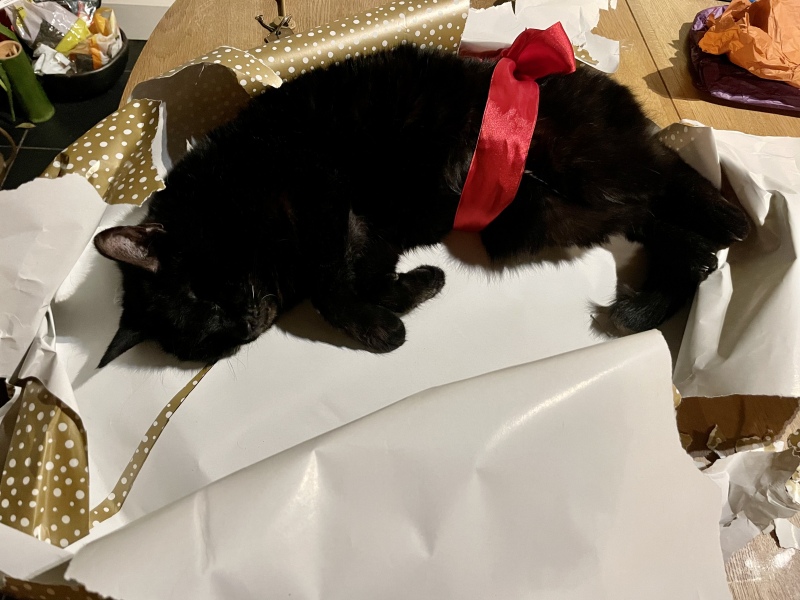 Pamela thread 5 - Bile Duct Cancer, chemo begins