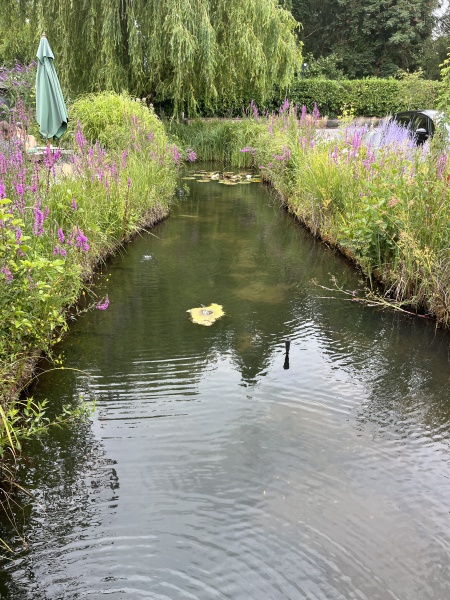 Pamela thread 5 - Bile Duct Cancer, chemo begins