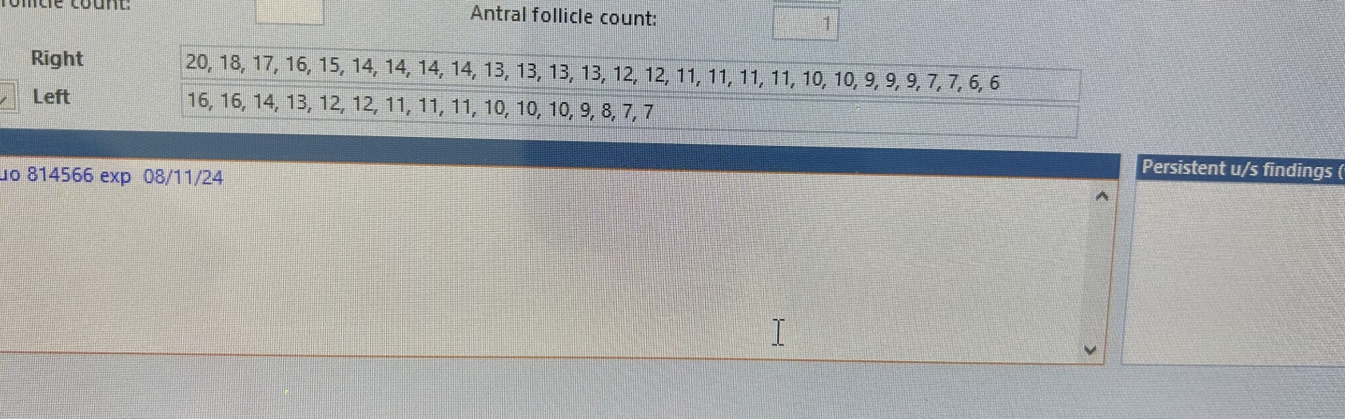FET / IVF August 2023