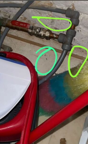 Are these mice droppings? Help! 