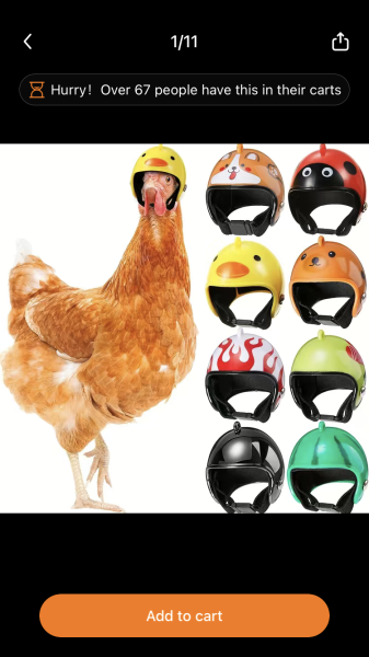 Today Temu thinks I would like to buy...