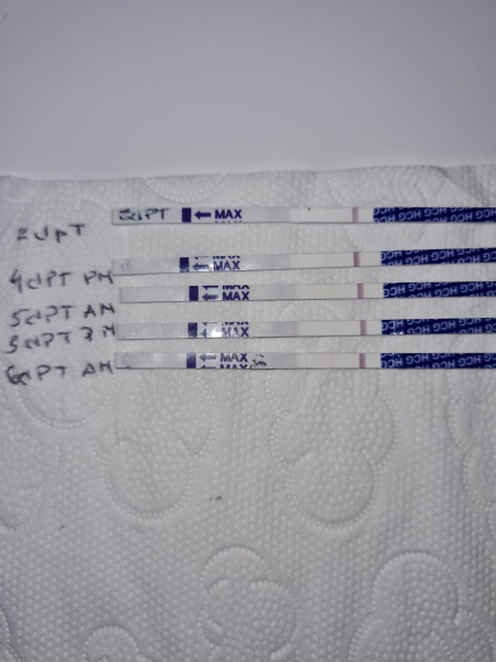 FET/IVF/ICSI July 2023