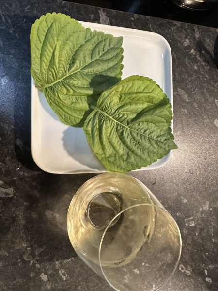 MsLatté’s Daebak Cybercafé (Kdrama addicts #41): A poorly anticipated placeholder thread to contain the Filthy Noonas’ ongoing musings on all things Korean, with Japanese and Chinese sprinkles