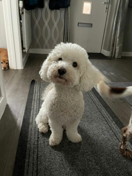 Pamela - Bile Duct Cancer, thread 4, London has given me a chance! 