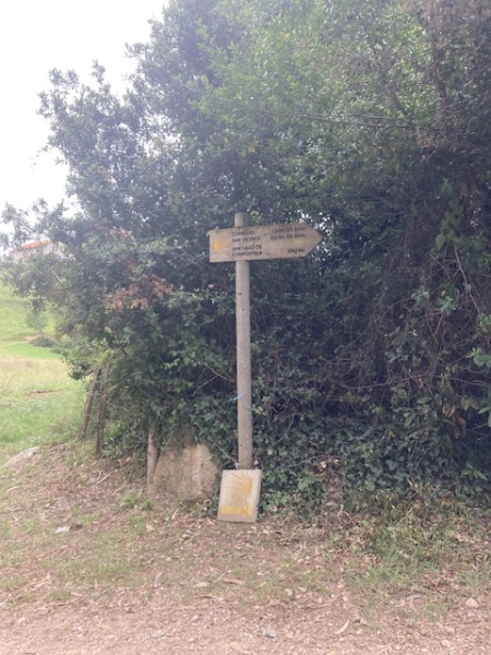 The Saxenda Sisterhood 