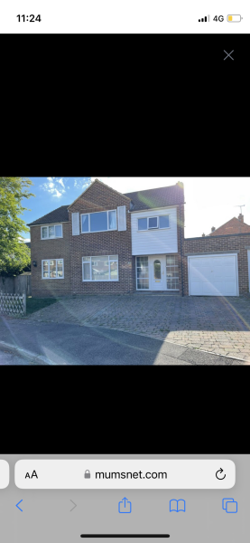 Climber for front of this house?