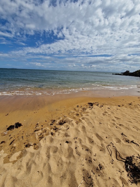 Pamela - Bile Duct Cancer, thread 4, London has given me a chance! 