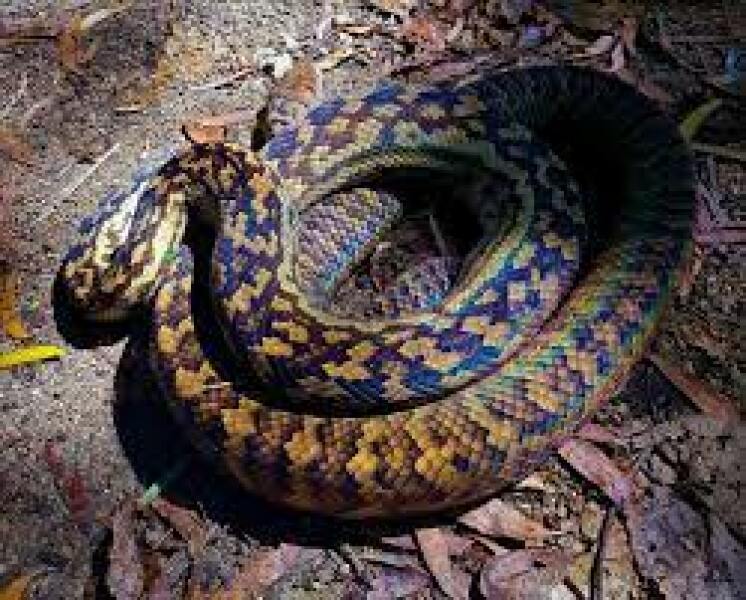 Uh oh, i could be in trouble here...