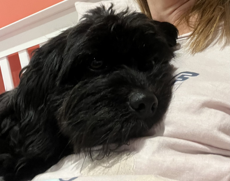 I'm starting saxenda this week. 